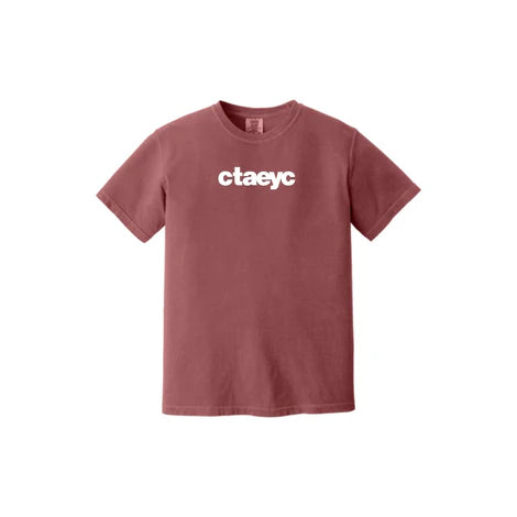 Comfort Colors ® Heavyweight Ring Spun Tee